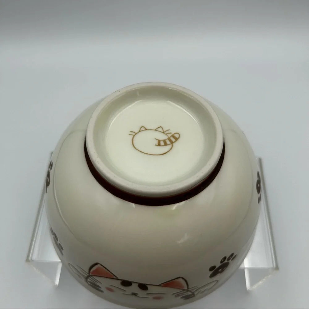 Kafuh Mino Ware Japanese Ceramic Ramen Rice Bowl 5